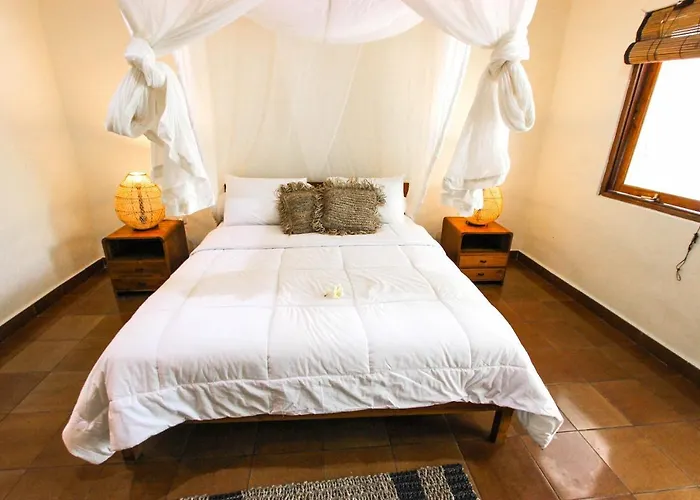 Pensión Cafe Locca Homestay